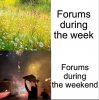 IMG_3466.jpeg
