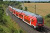 DB151641(1).jpg