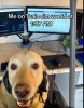 IMG_3501.jpeg
