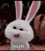 upload_2024-8-28_19-39-42.gif
