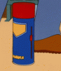 upload_2024-9-3_17-30-11.gif