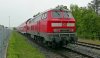 IMG_4677.jpeg