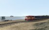 Screenshot_Pacific Surfliner_33.42794--117.62864_17-34-28.jpg
