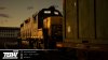TSW_SzaraSowa_Week34.jpg
