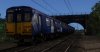 waverly-314-2.jpg