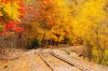fall-foliage-train-1-640x423.jpg