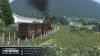 TS20_RandomRailfan_Week35.jpg