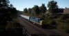 TSW_BRD_1569630549_00.jpg