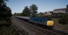 TSW_BRD_1569707610_00.jpg