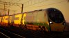IMG_7858.jpeg
