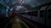 IMG_2905.jpeg