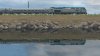 IMG_9294.jpeg