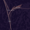CnP_08102024_225147.png