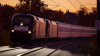IMG_20241011_084119 (1).png