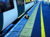IMG_0513.jpeg
