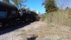 IMG_20241009_115625.jpg