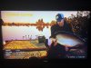 IMG_8421.jpeg