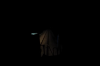 upload_2024-10-30_21-58-21.png