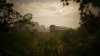 IMG_2622.jpeg