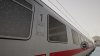 IMG_7713.jpeg