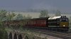 British Rail Class 31 4.jpg