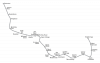 R.png