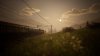 IMG_2715.jpeg