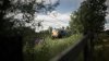 IMG_2711.jpeg