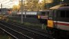 IMG_5939.jpeg
