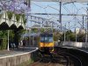 Waverton.jpg