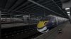 IMG_8260.jpeg