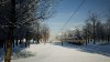 Azuma in the snow.jpg