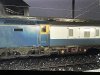 IMG_6885.jpeg