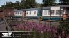TSW_Trainspotter_Week37.jpg