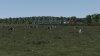 Screenshot_Wherry Lines - Norwich to Great Yarmouth & Lowestoft_52.50479-1.66974_19-36-24.jpg