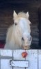 IMG_2074.jpeg