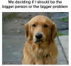 Screenshot_20241222-092429.png