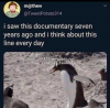 Screenshot_20241222-092608.png