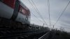 IMG_6238.jpeg