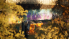 6b11f036-1603-4f41-b0f5-76855c92be45.png