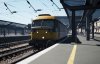 TSW3_David_1736680469_00.jpg