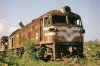 class47-cuban-style-2-hershey_15058686926_o.jpg