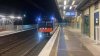 IMG_2649.jpeg