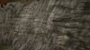 84b6ddb8-388b-4295-814c-6f635ca5774d.jpeg