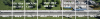upload_2025-1-30_0-37-45.png
