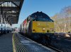 IMG_6871.jpeg