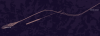 Screenshot 2025-02-09 205308.png