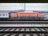 IMG_7101.jpeg