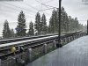 IMG_7126.jpeg