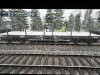 IMG_7128.jpeg
